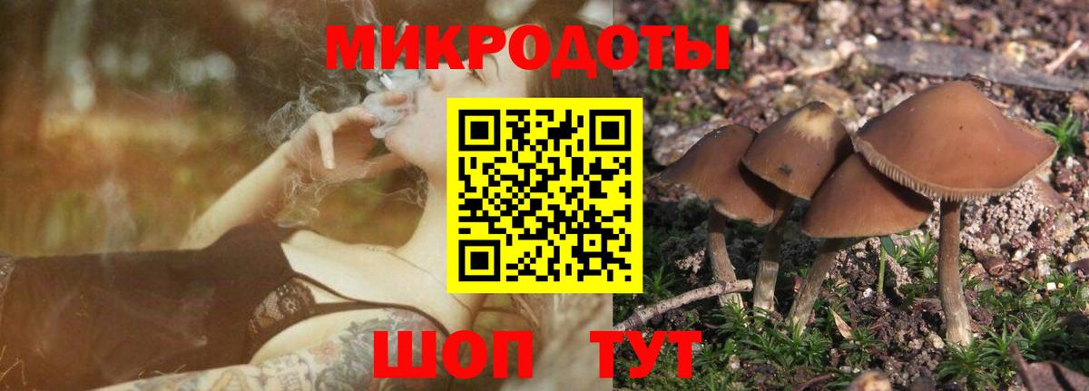 Галлюциногенные грибы MAGIC MUSHROOMS Черкесск